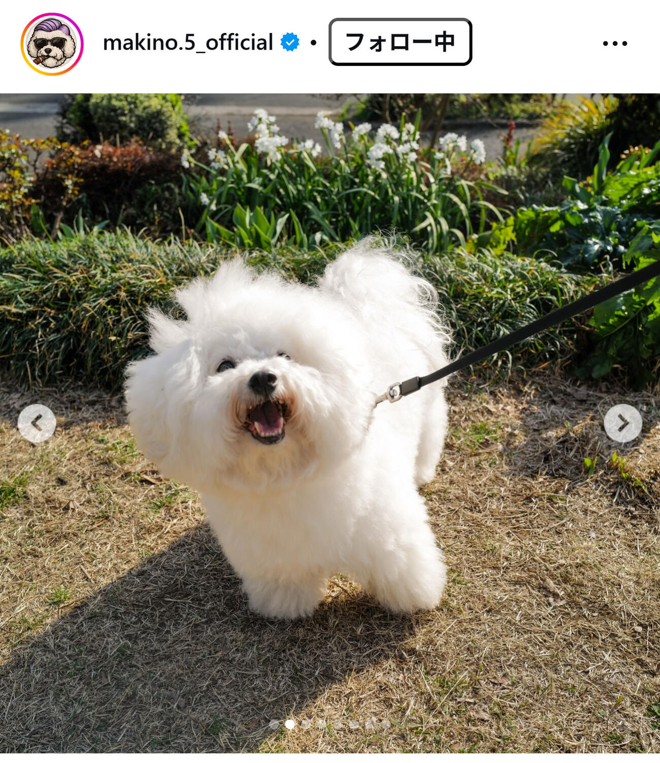 J2藤枝の槙野智章監督のインスタグラムから