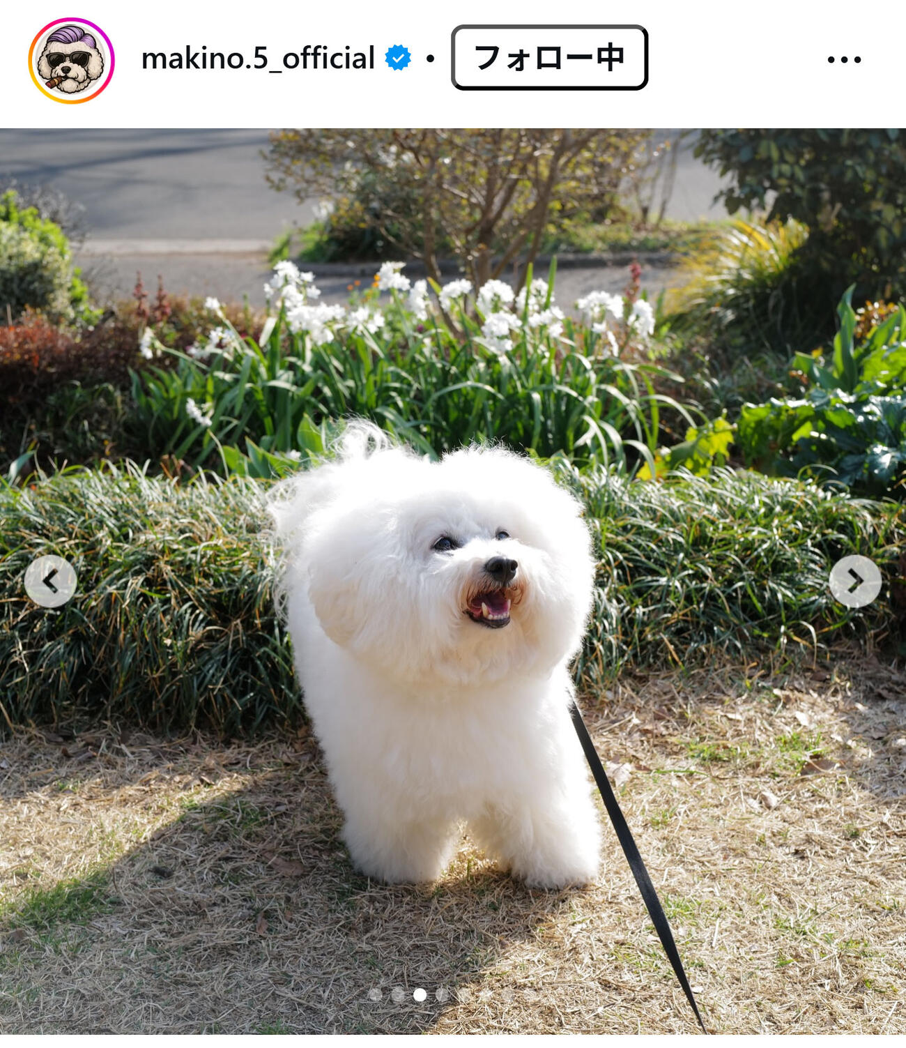 J2藤枝の槙野智章監督のインスタグラムから