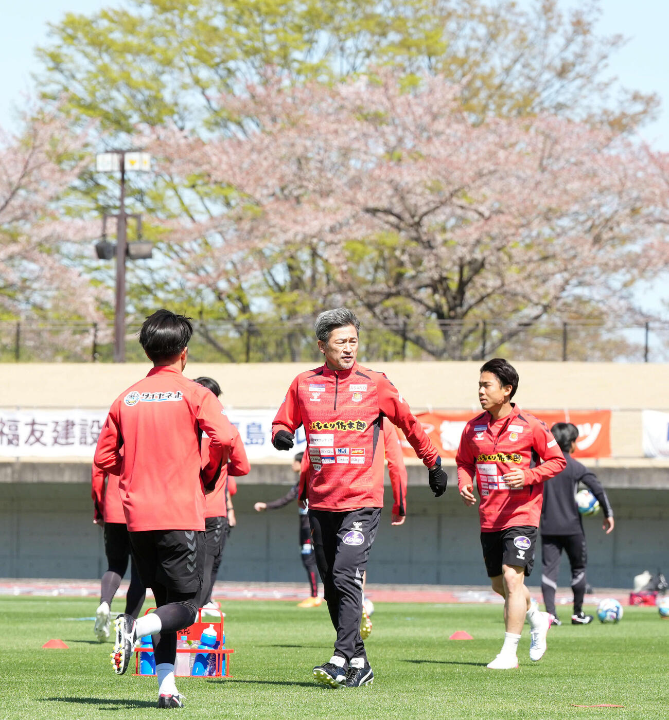 福島対いわき　桜を背にアップする福島カズ（撮影・たえ見朱実）