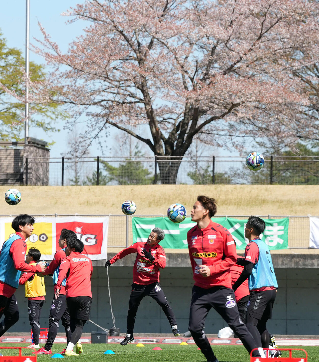 福島対いわき　桜を背にアップする福島カズ（撮影・たえ見朱実）