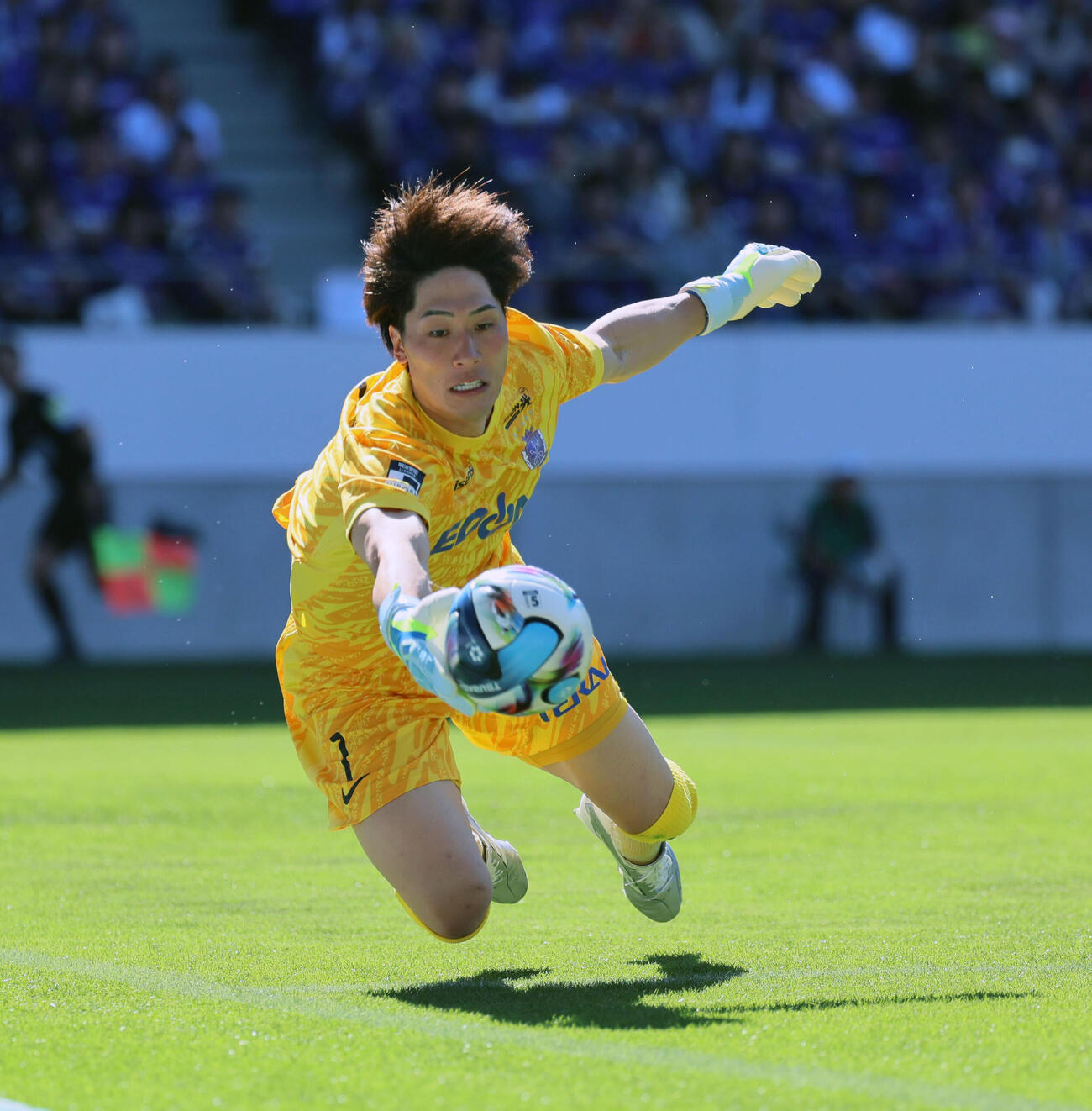 京都対広島　前半、ゴールを守る広島GK大迫敬介（撮影・宮崎幸一）
