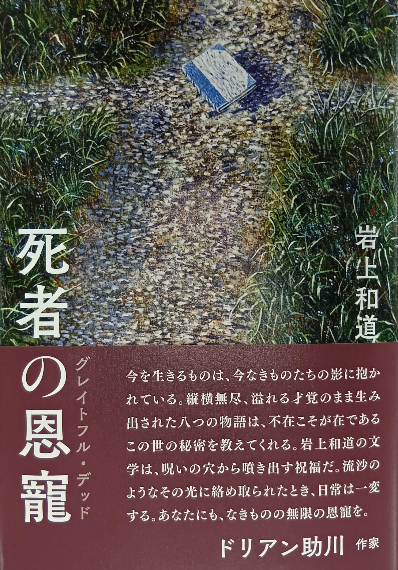 日本サッカー協会元副会長の岩上和道氏（現JFA顧問）が書き上げた2作目の小説「死者の恩寵（おんちょう）」