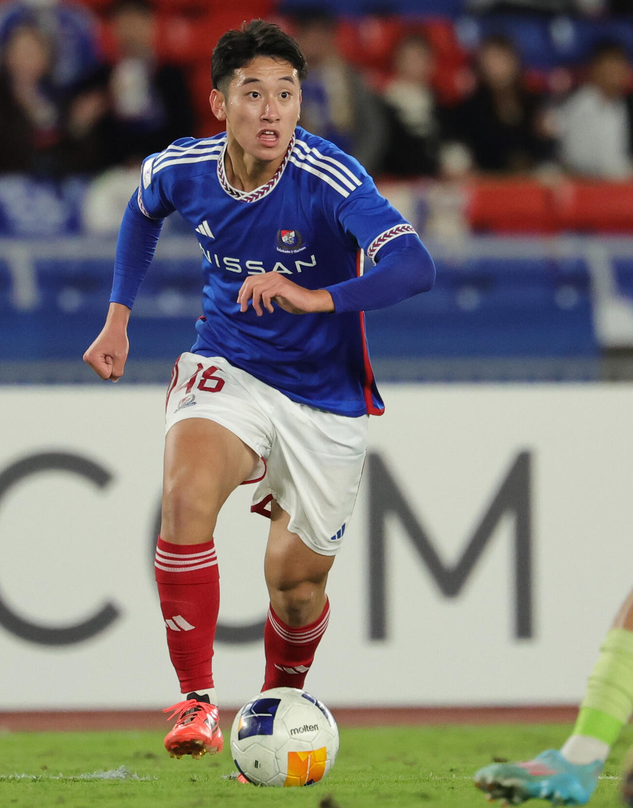 横浜浅田大翔（24年11月撮影）