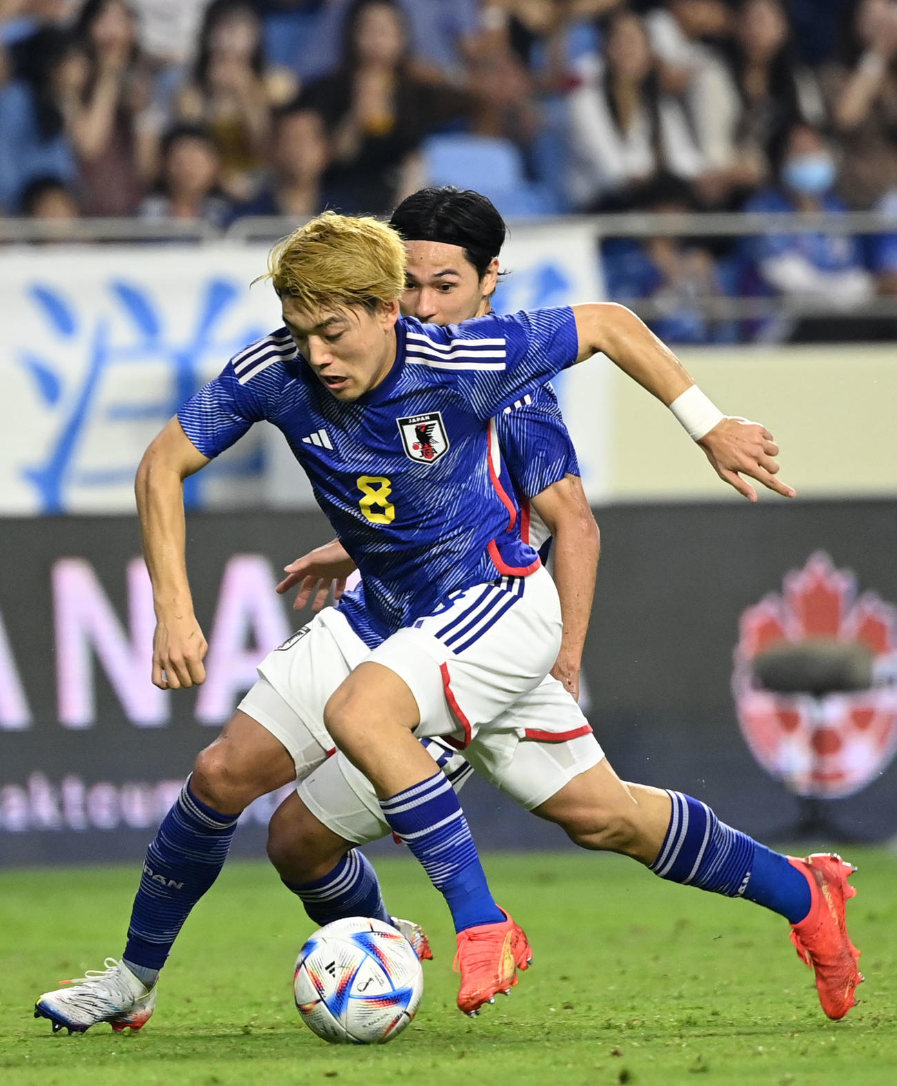 日本対カナダ　（撮影・横山健太）