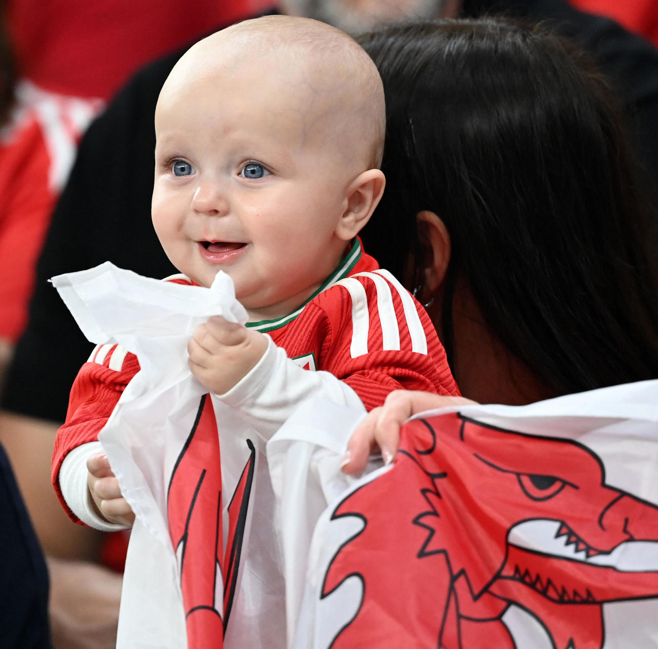 ウェールズ対イングランド　試合前、声援を送るウェールズサポーターの赤ちゃん（撮影・横山健太）