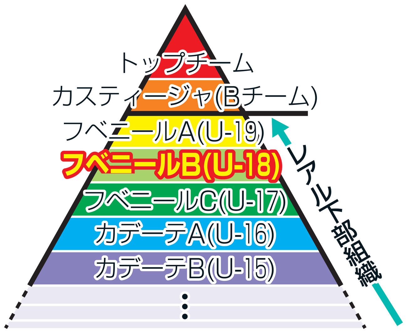 レアル・マドリードの組織