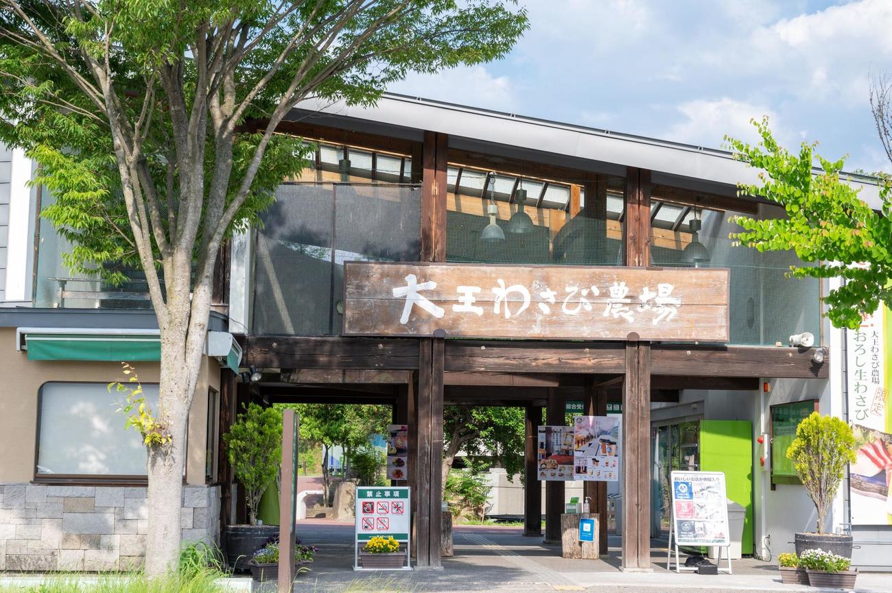 ベルギー1部シントトロイデンのホームスタジアムの命名権を取得した大王わさび農場
