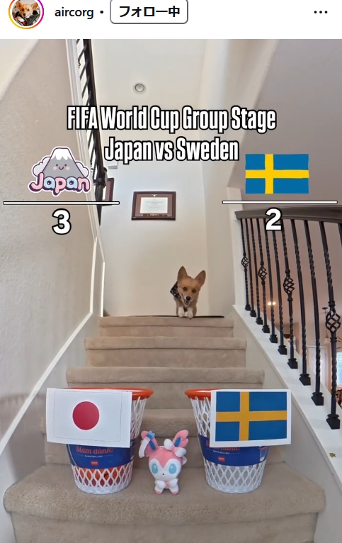 Steph Furry(@aircorg)のインスタグラムから