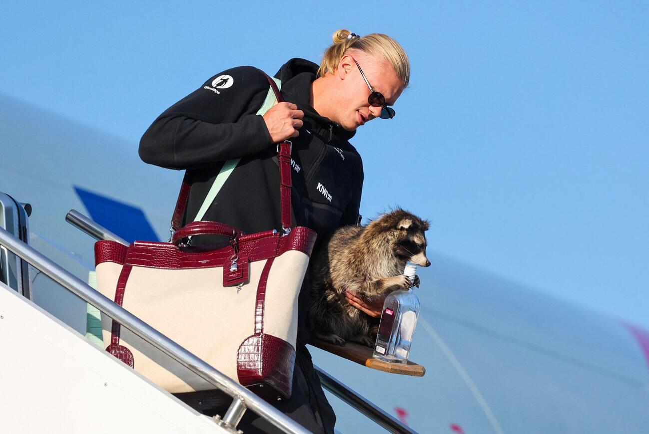 ノルウェーのオスロ空港に到着し、飛行機から降りるアーリング・ハーランド。手には剝製のアライグマが（第三者提供、ロイター）