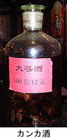 カンカ酒