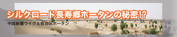 シルクロード長寿郷ホータンの秘密!?