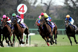 有馬記念で最終コーナーを回るディープインパクト（中央、撮影・蔦林史峰）