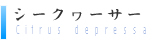 シークワーサー