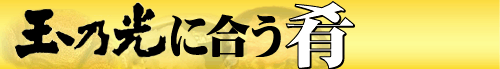 玉乃光に合う肴