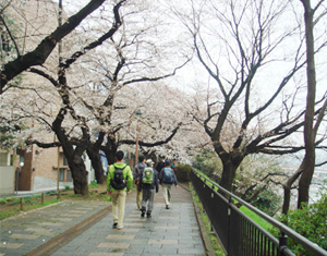 写真1