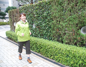 写真1