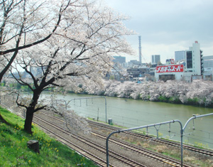 写真1