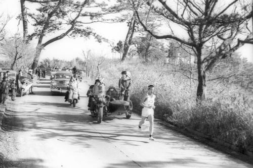 第30回大会　往路3区　松並木を行くトップの中大・桜谷嘉彦（1954年1月6日）