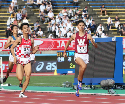 男子800メートル予選　1組　1着となった西久保達也（右）（撮影・梅根麻紀）
