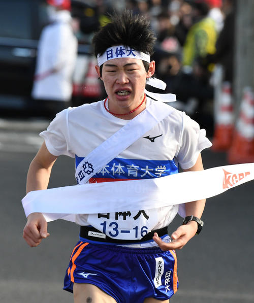 ゴールする日体大5区藤本（撮影・山崎安昭）