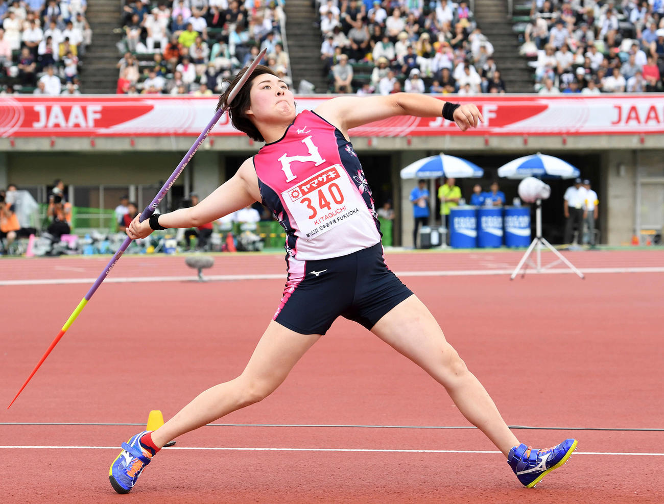 北口榛花（2019年6月28日撮影）
