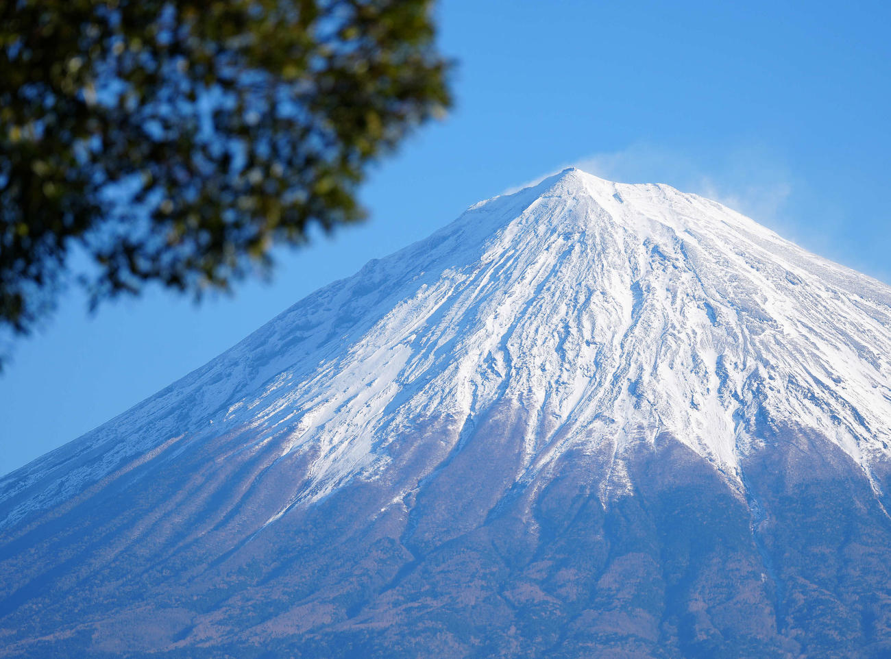 富士山本宮浅間大社付近からのぞむ富士山（2021年12月30日撮影）