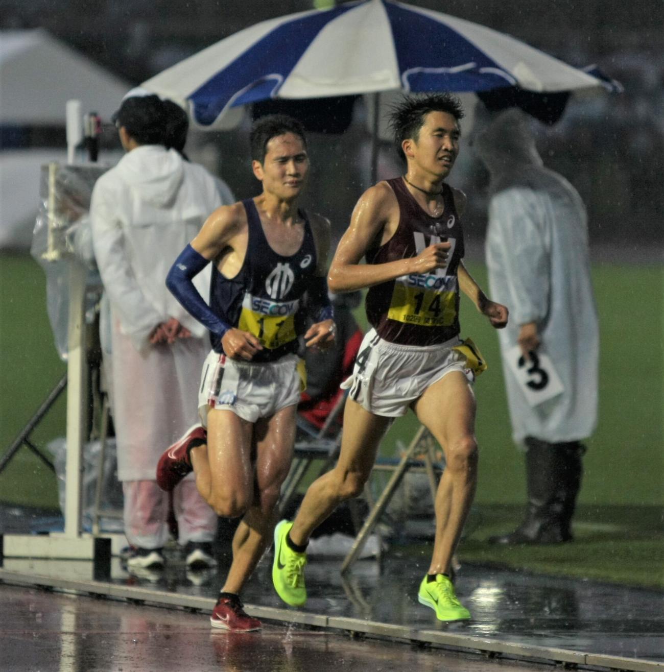 陸上関東インカレ男子1部1万メートル決勝　雨が降りしきる中、力走を見せた早大・石塚（右）（撮影・藤塚大輔）