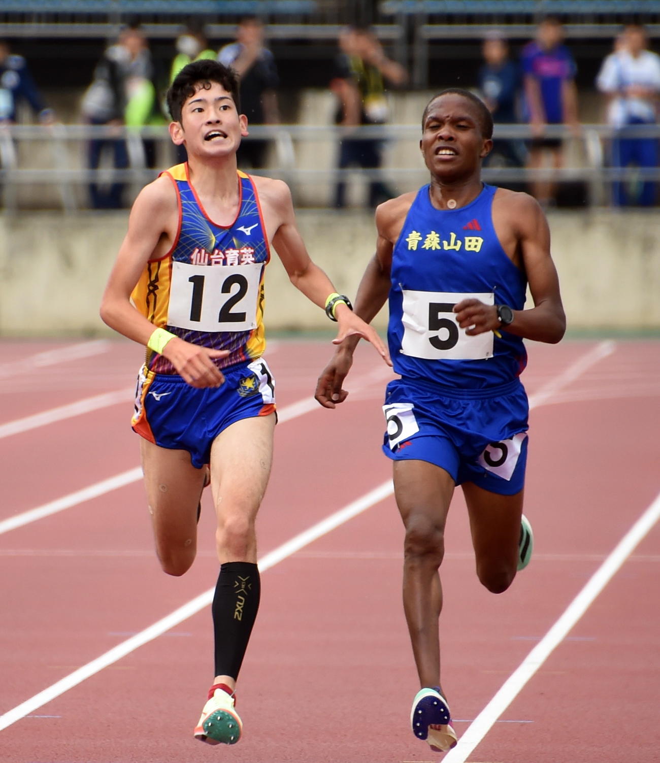 男子5000メートルを大逆転で優勝した仙台育英・大浜（左）と2位の青森山田カルリ