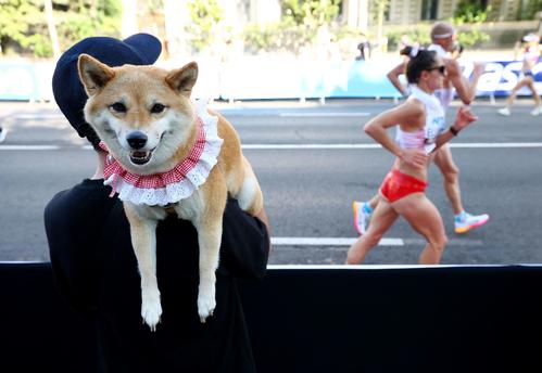 女子35キロ競歩　沿道で選手を応援する観客と柴犬（ロイター）