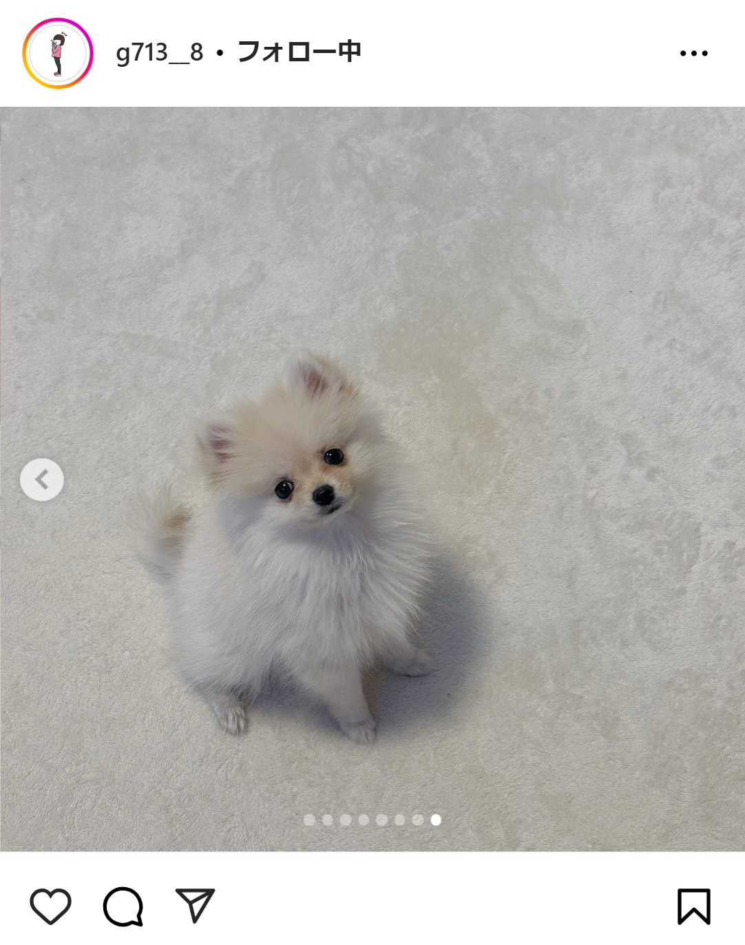 中島ひとみのインスタグラムから