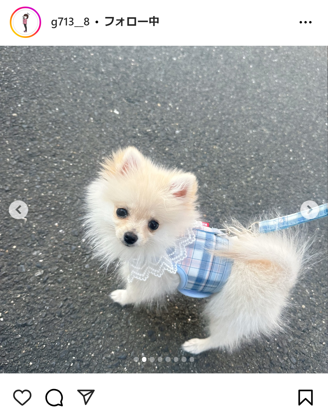 中島ひとみのインスタグラムから
