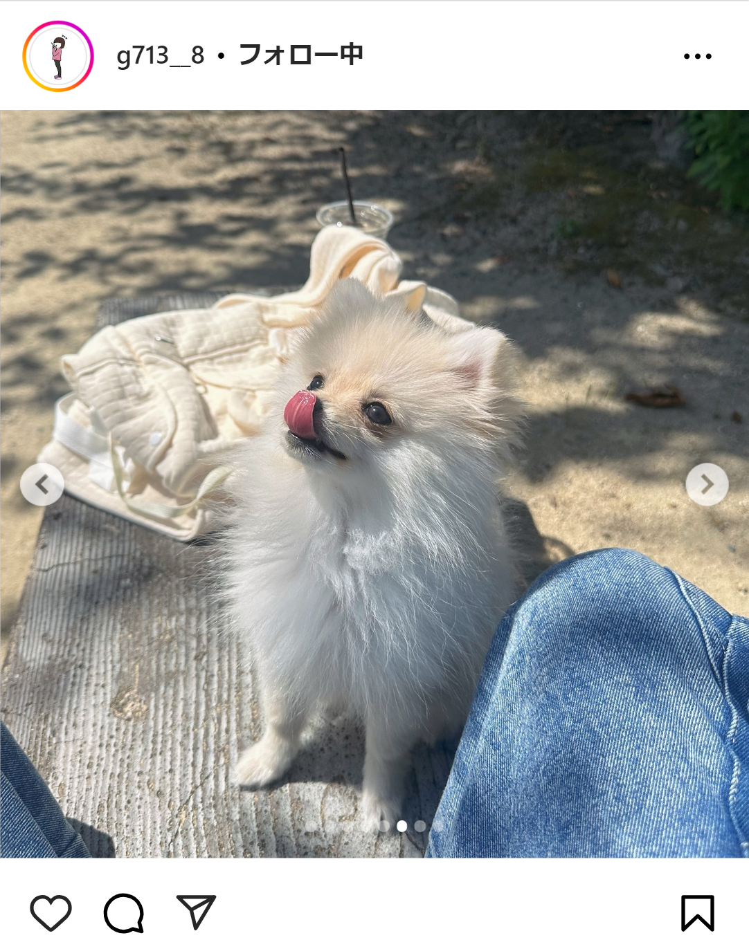 中島ひとみのインスタグラムから