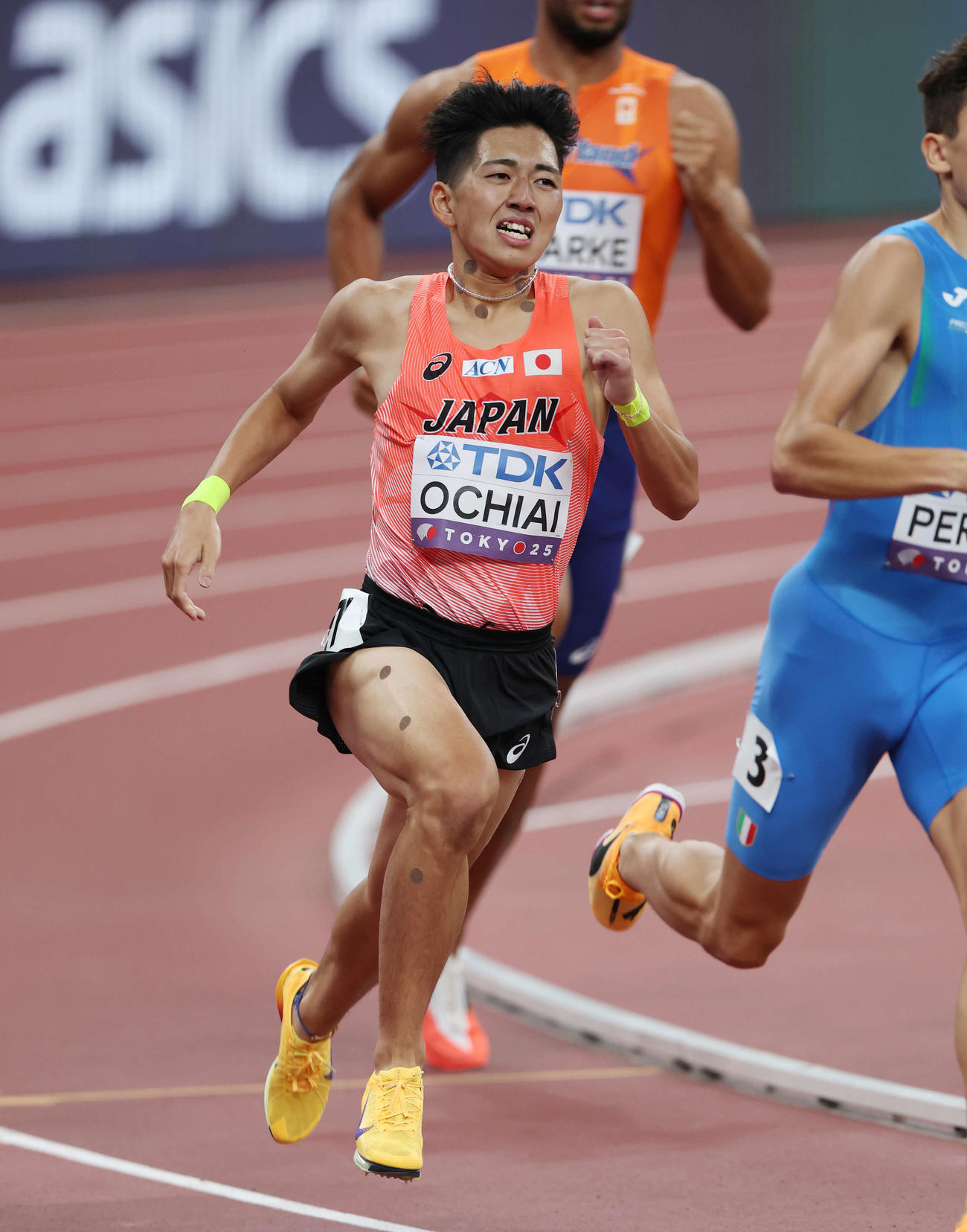 男子800メートル予選　力走する落合（撮影・宮地輝）