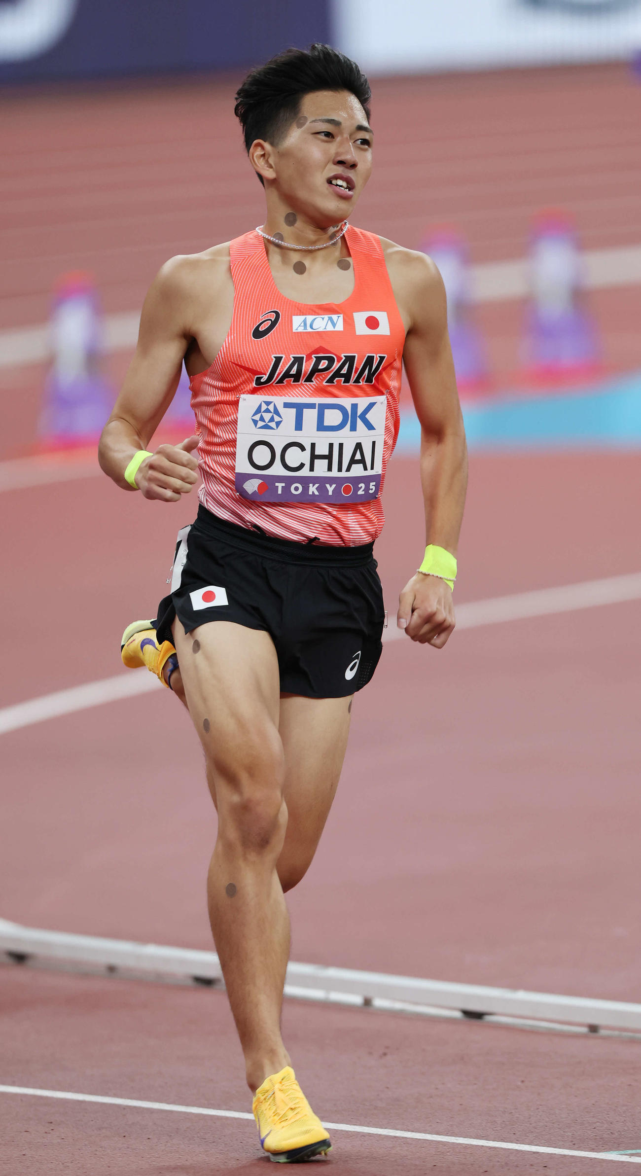 男子800メートル予選　力走する落合（撮影・宮地輝）