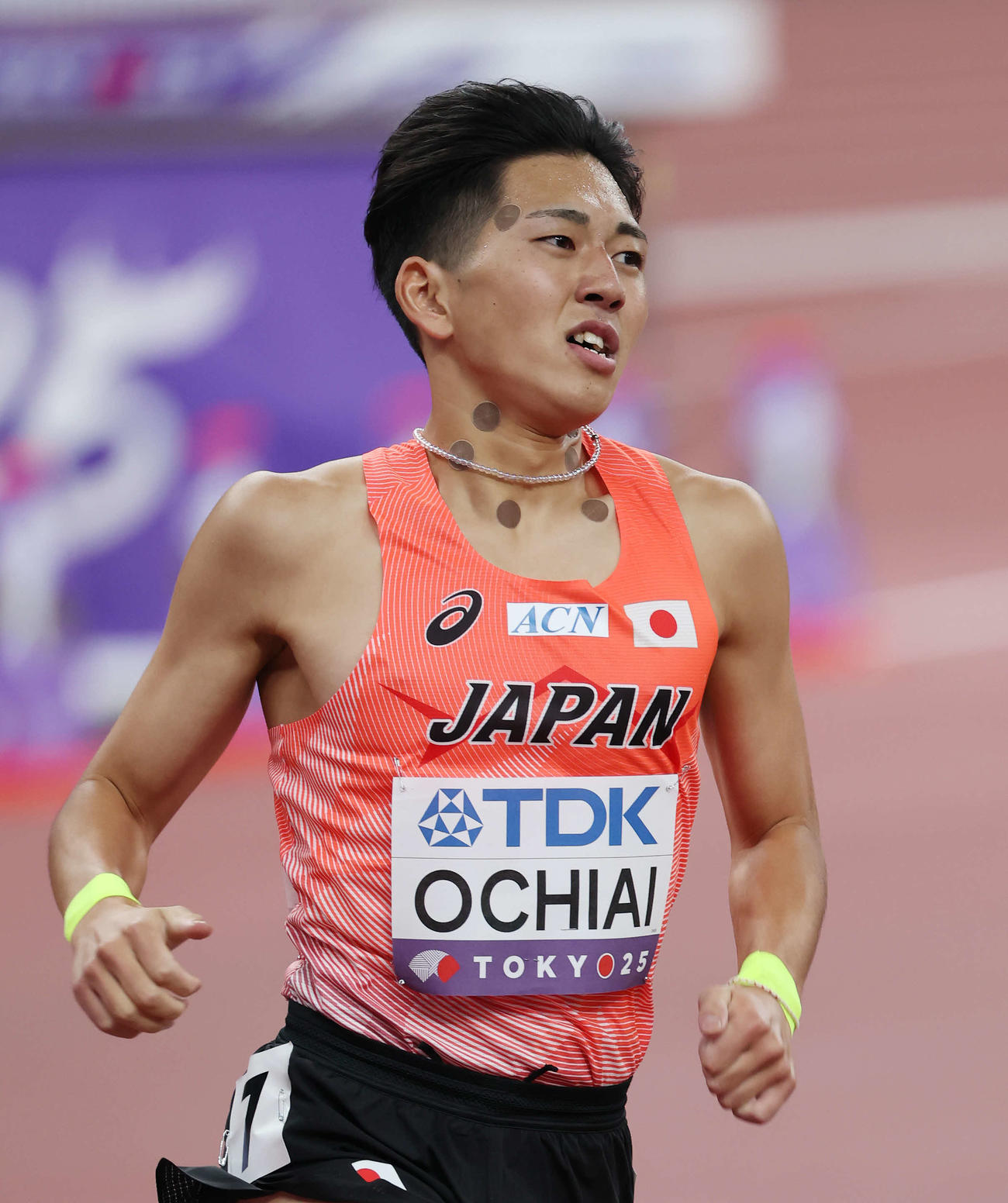 男子800メートル予選　力走する落合（撮影・宮地輝）