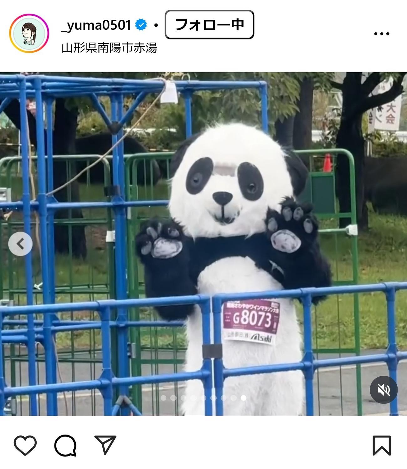 山本有真のインスタグラムから