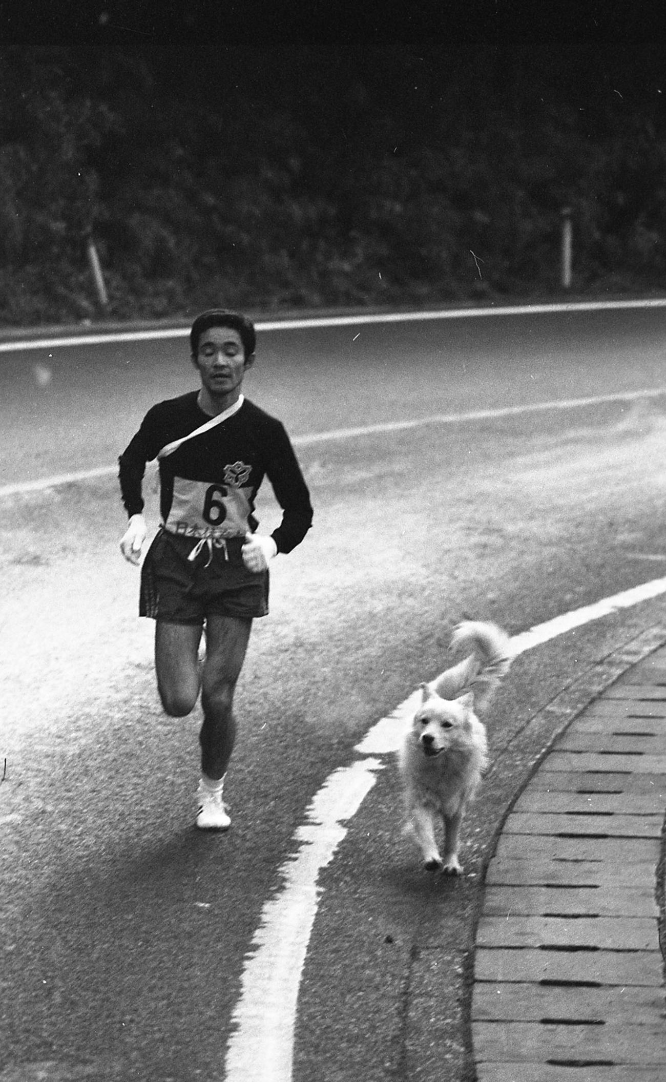 1977年1月3日　箱根駅伝　第53回東京箱根間往復大学駅伝　復路6区　2キロ地点から5キロまでトップを快走する日体大・塩塚秀夫（4年、区間新58分56秒）の脇をどこから来たのか白い犬が伴走？