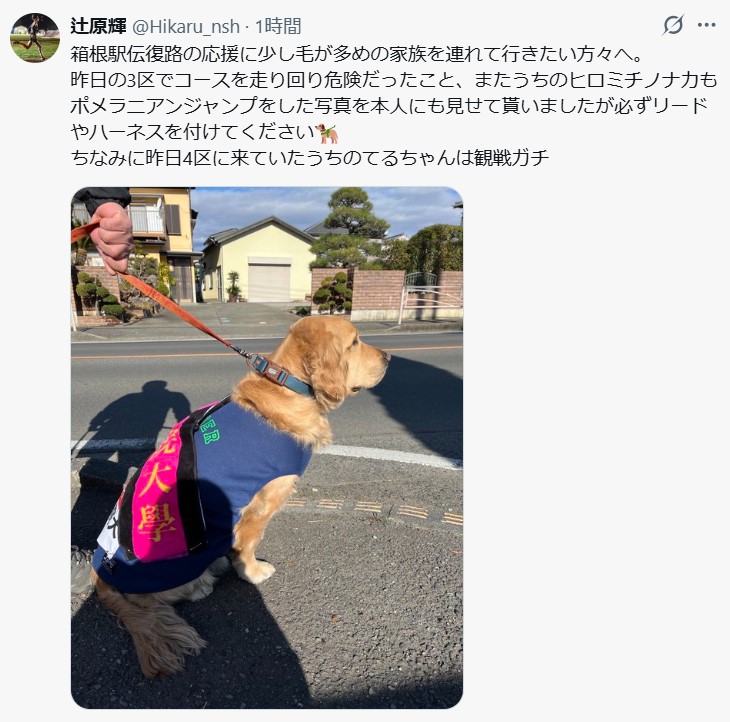国学院大・辻原輝のXから