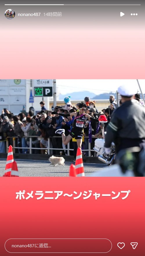 箱根駅伝に乱入した犬（国学院大・野中恒亨のインスタグラムから）