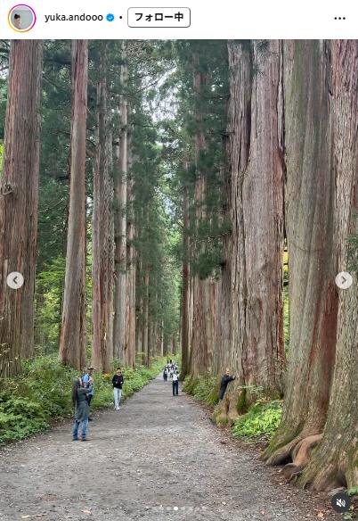 戸隠神社の長い参道（安藤友香のインスタグラムから）