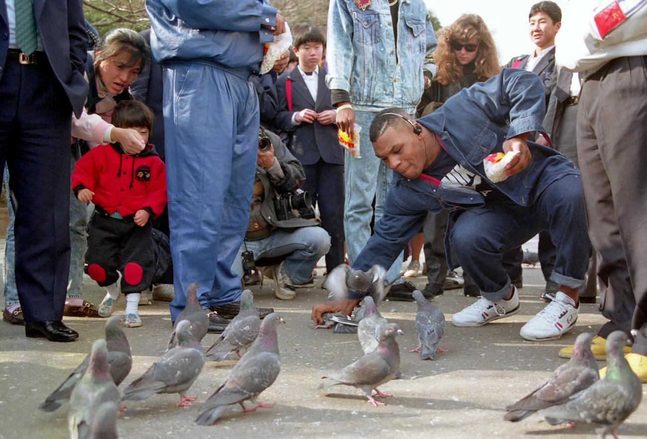 上野公園でハトを素手で捕まえるマイク・タイソン（1990年1月25日）