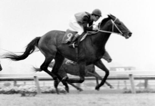 1965年秋の天皇賞。ハクズイコウに２馬身差をつけ優勝したシンザン。鞍上は栗田勝