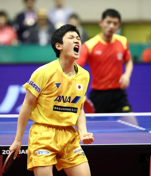 男子シングル決勝　張継科からポイント奪い声を張り上げる張本（撮影・栗木一考）（２０１８年６月１０日）