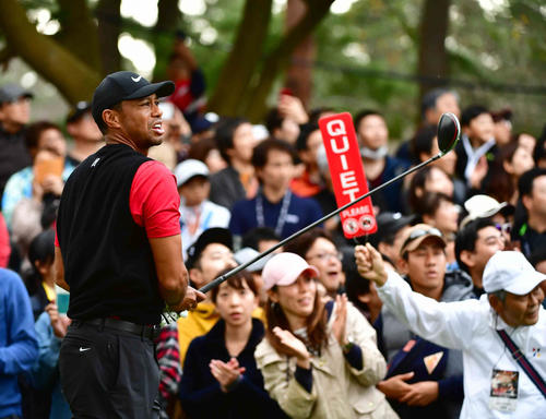 ZOZOチャンピオンシップ4日目の最終ラウンド、6番、ティーショットを放つウッズ（撮影・小沢裕）