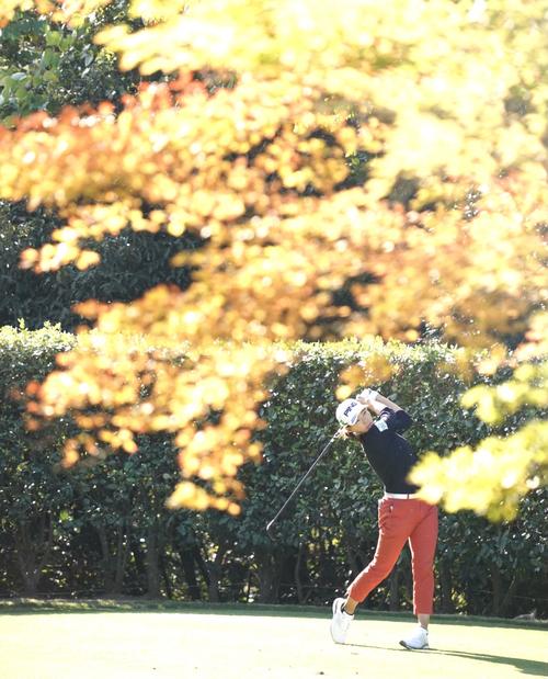 14番、ティーショットを放つ渋野日向子（撮影・江口和貴）