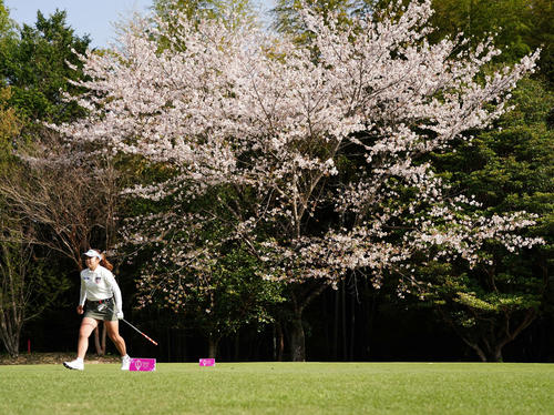 11番、満開の桜を背にプレーする山下（撮影・江口和貴）
