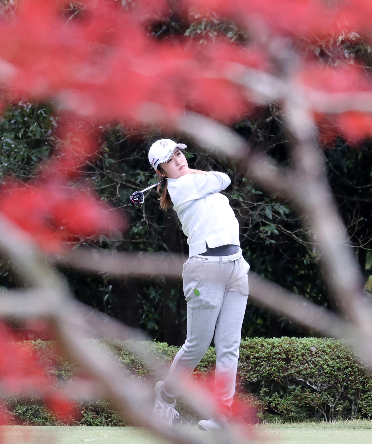 6番、ティーショットを放つ稲見（撮影・浅見桂子）