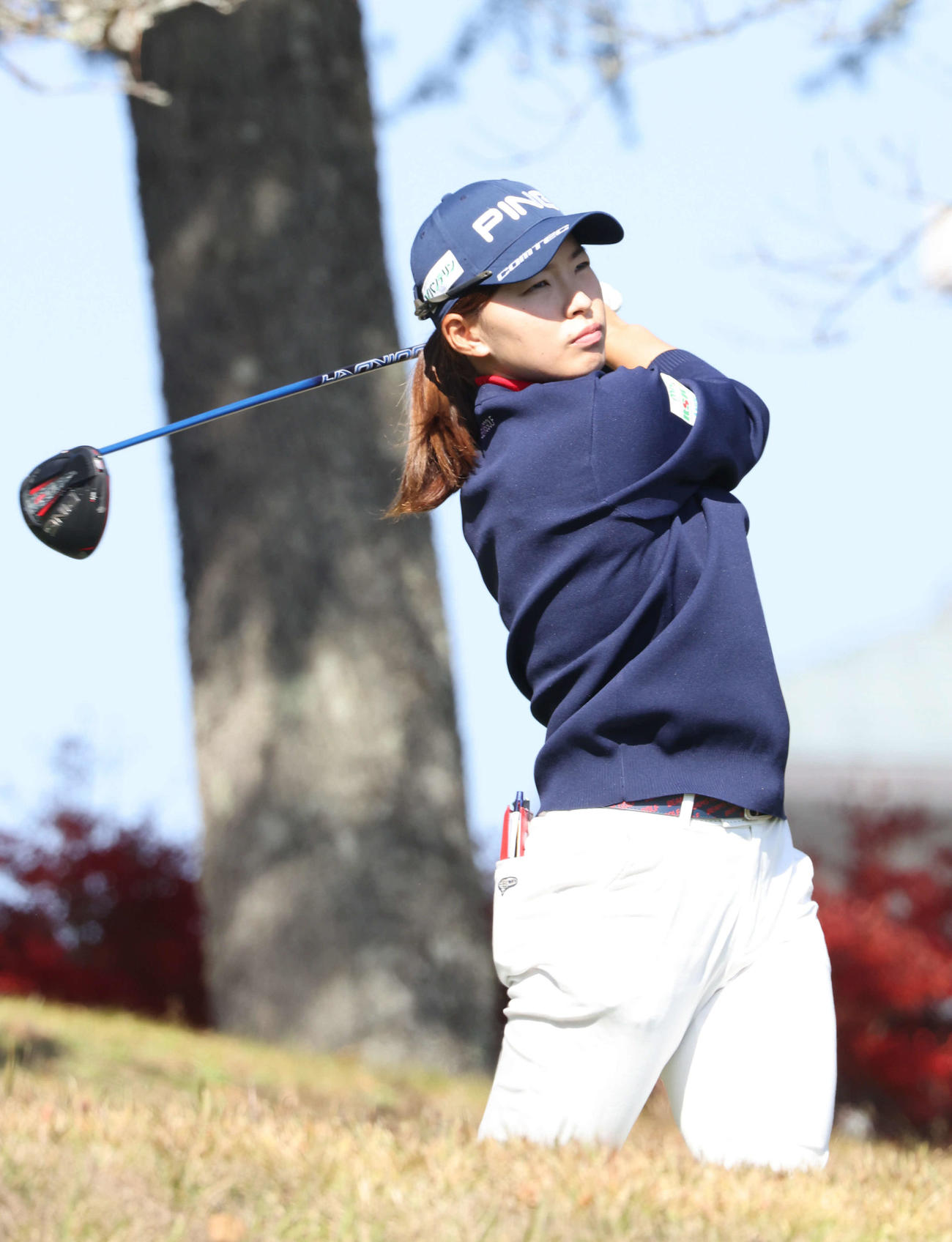 第2日　7H、第1打を打つ渋野日向子（撮影・加藤孝規）