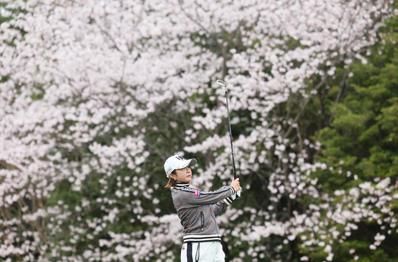 11番、満開の桜を背にショットを放つイ・ボミ（撮影・足立雅史）