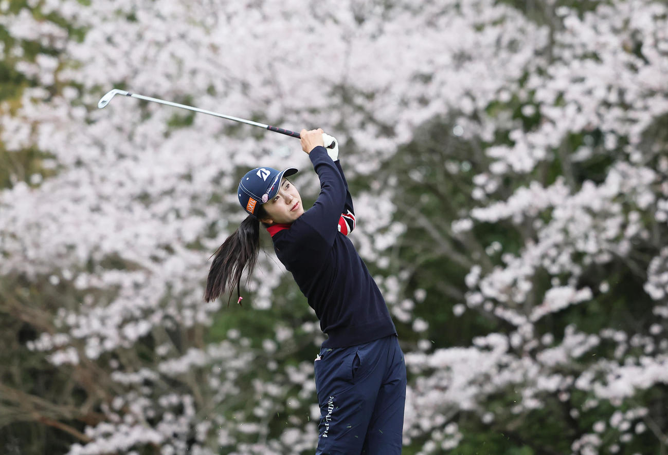 11番、満開の桜を背にショットを放つ堀（撮影・足立雅史）